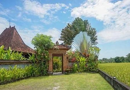 Rumah Sungai Villa Ubud Esterno foto