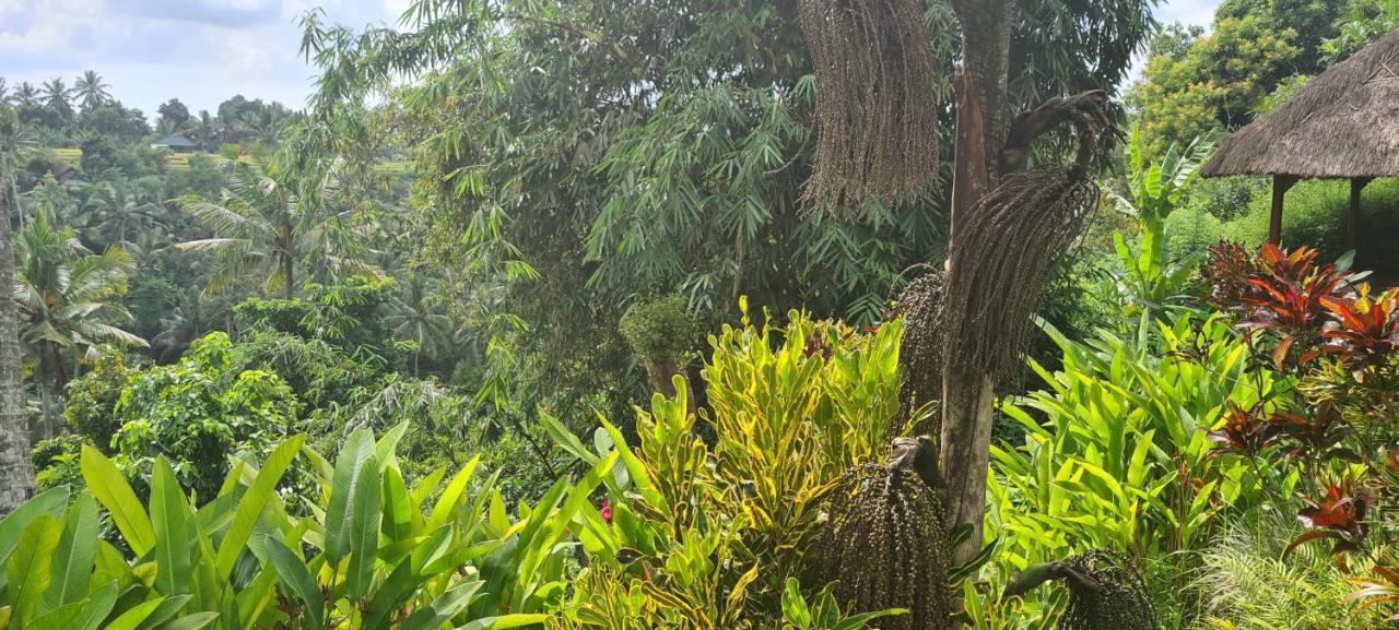 Rumah Sungai Villa Ubud Esterno foto