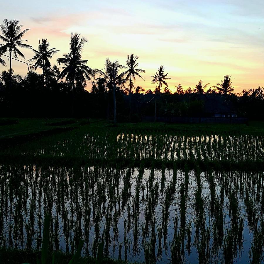 Rumah Sungai Villa Ubud Esterno foto