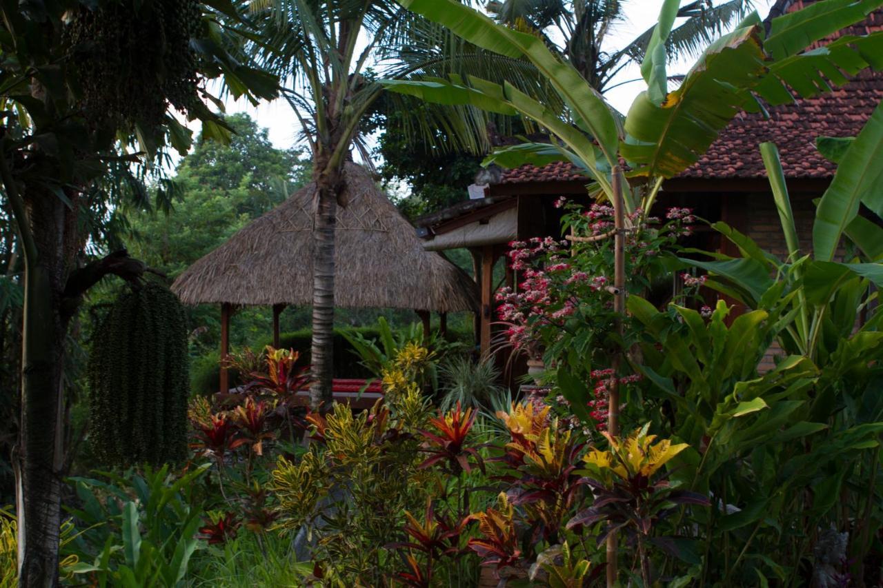 Rumah Sungai Villa Ubud Esterno foto