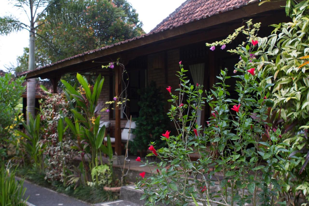Rumah Sungai Villa Ubud Esterno foto