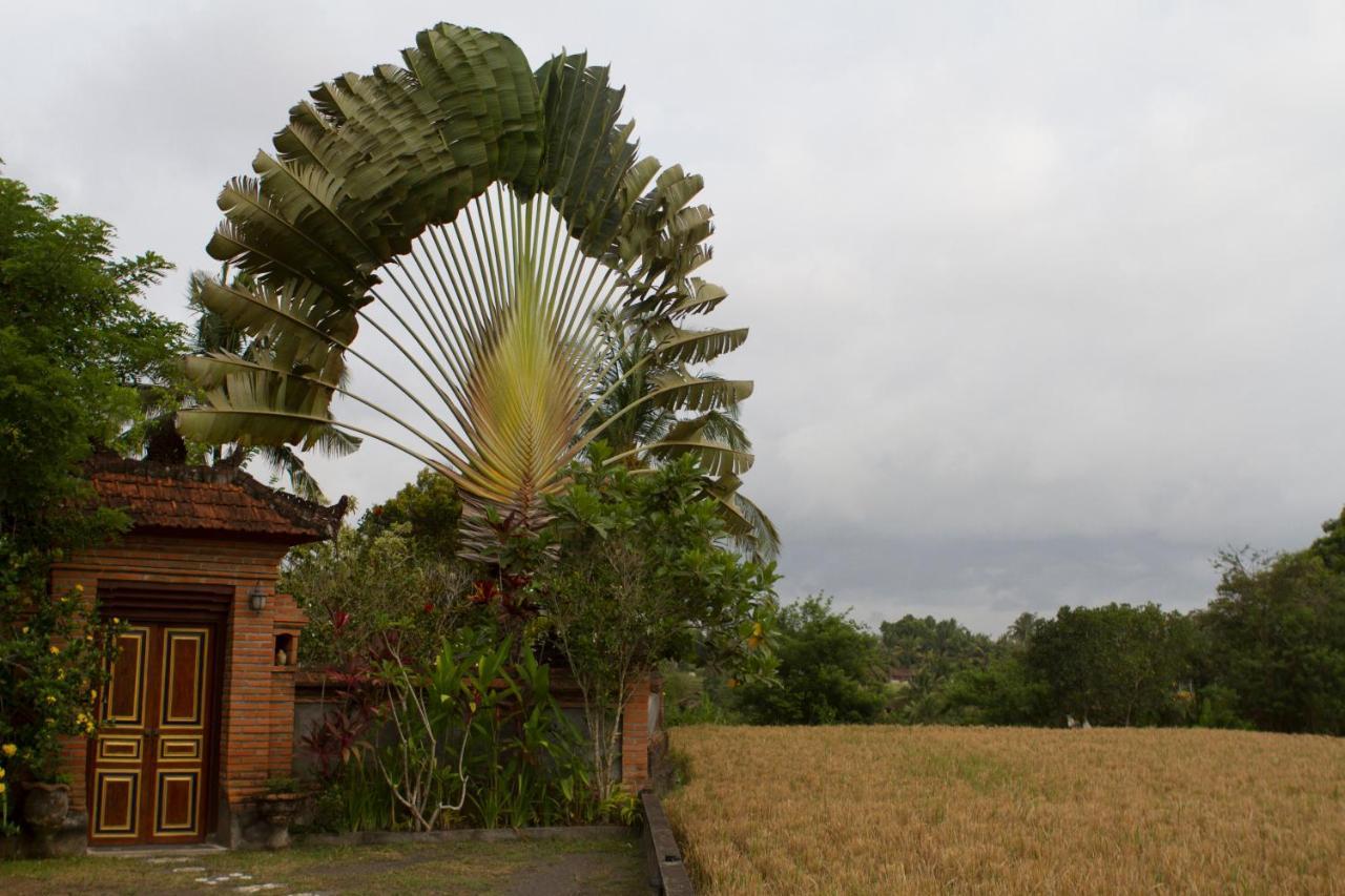 Rumah Sungai Villa Ubud Esterno foto