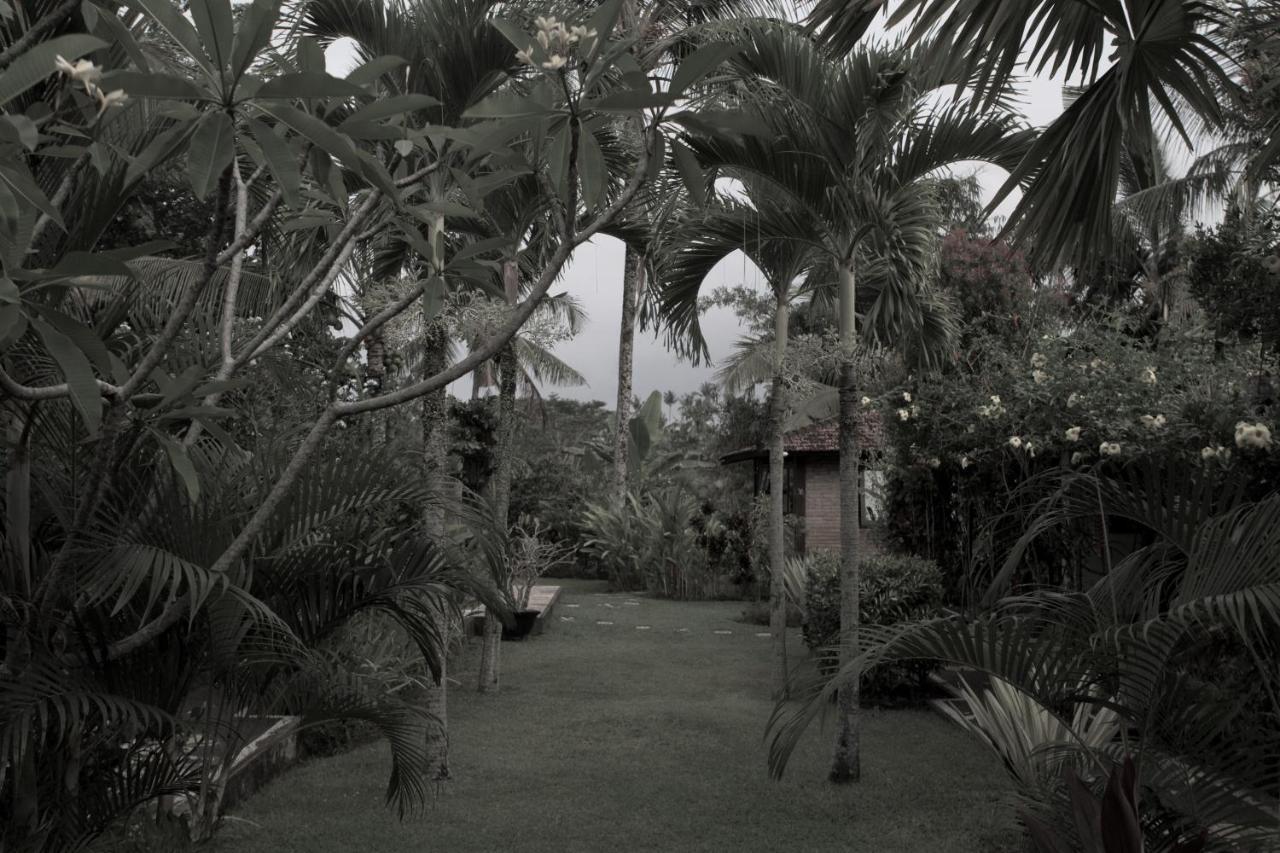 Rumah Sungai Villa Ubud Esterno foto