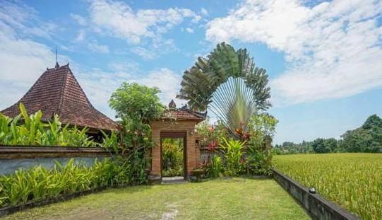 Rumah Sungai Villa Ubud Esterno foto