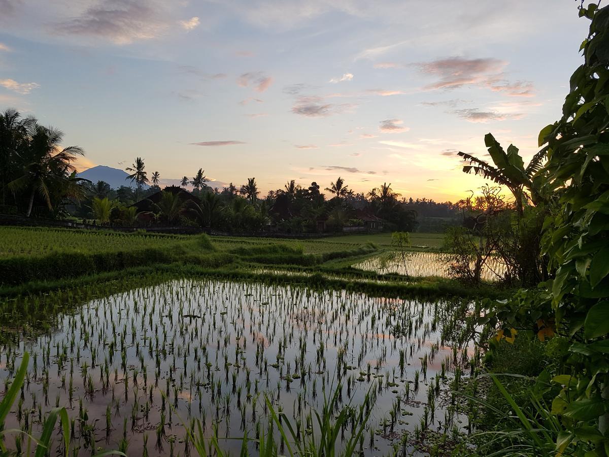 Rumah Sungai Villa Ubud Esterno foto
