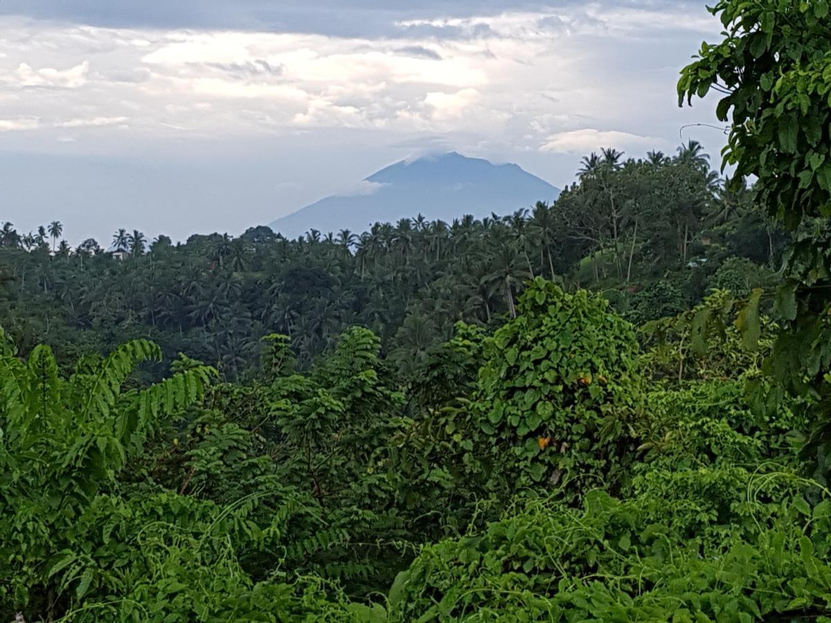 Rumah Sungai Villa Ubud Esterno foto