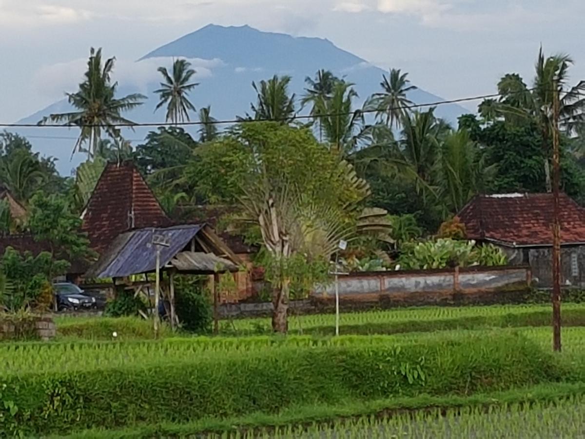Rumah Sungai Villa Ubud Esterno foto