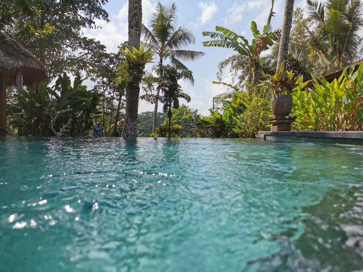 Rumah Sungai Villa Ubud Esterno foto