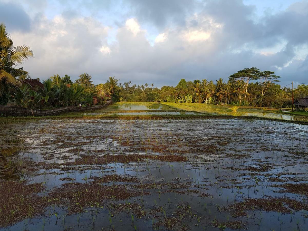 Rumah Sungai Villa Ubud Esterno foto